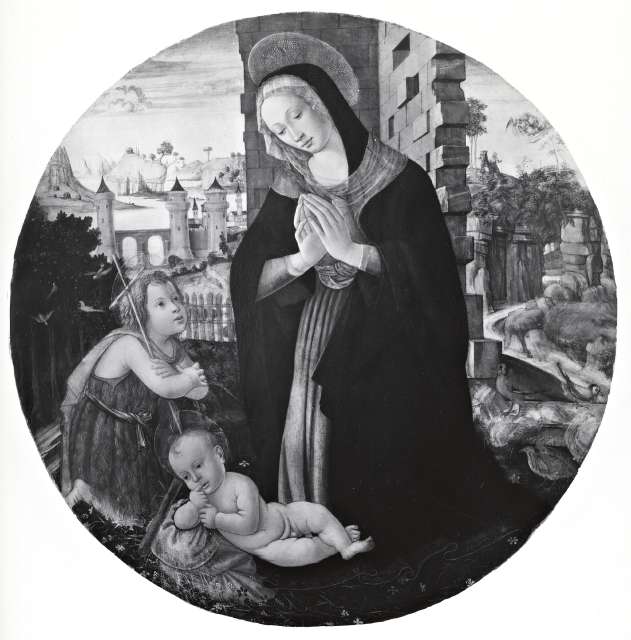 Foto Reali — Anonimo fiorentino sec. XV - sec. XV - Madonna in adorazione del Bambino con san Giovannino — insieme